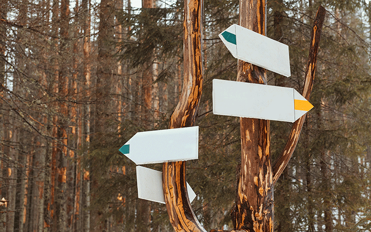 Ayaklı Yön Tabelası