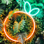 Kişiye Özel Neon Tabela